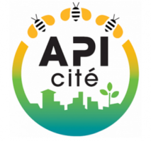 API Cité