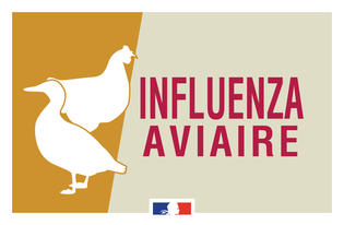 Influenza aviaire : de nouvelles mesures en cours